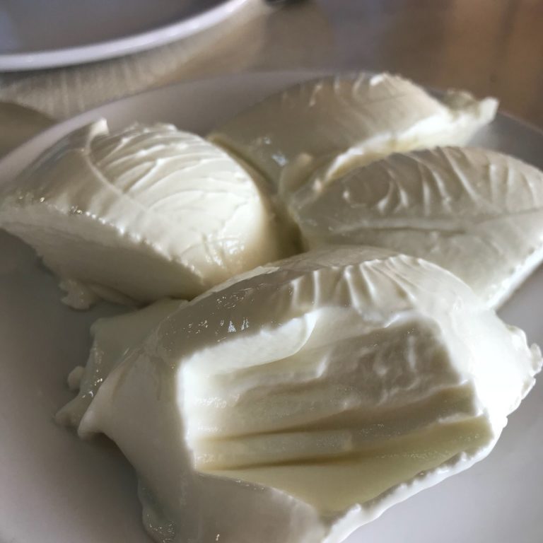Yoğurt bozulur mu? 🥛